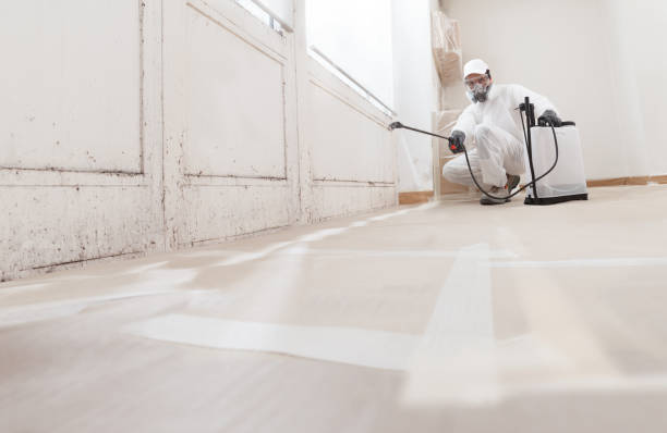 24/7 Emergency Bathroom Mold Removal experts in Sparta, TN