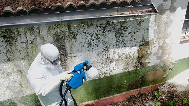 Trusted Commercial Mold Remediation service in Sparta, TN - Cheap Mold Removal